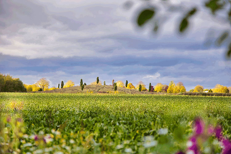 Arrangements Braunschweiger Land